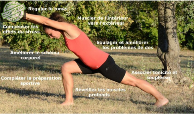 Stretching Postural à Muret