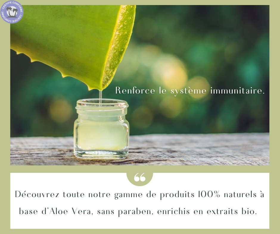 Bien-etre-amp-Sante-Produits-100-naturels-a-base-d-Aloe-Vera-Vera242933364849626573.jpg