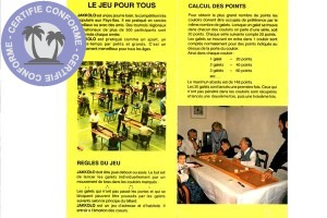 Jeux-amp-Divertissement-Auvergne-Rhone-Alpes-Isere-billard-hollandais081319232639485466.jpg