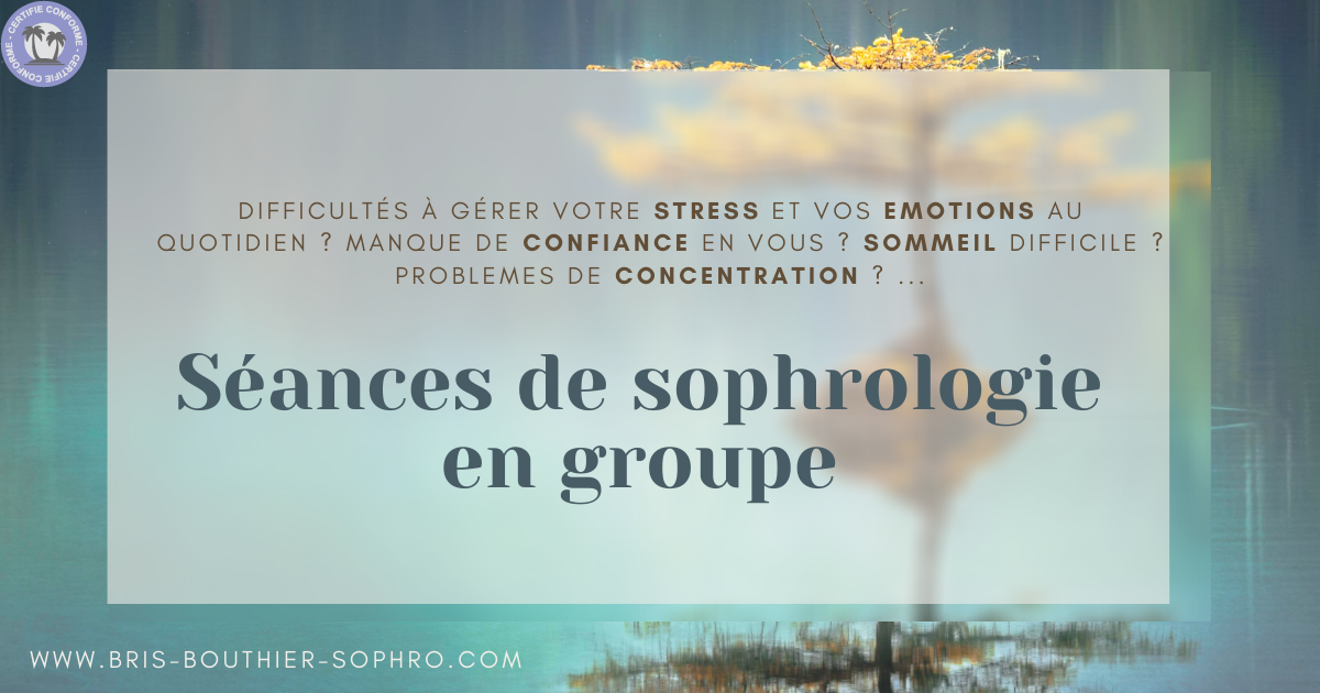 Therapeutes-Ile-de-France-Yvelines-Seance-de-Sophrologie-en-individuel-ou-en-groupe1162432384256587778.png