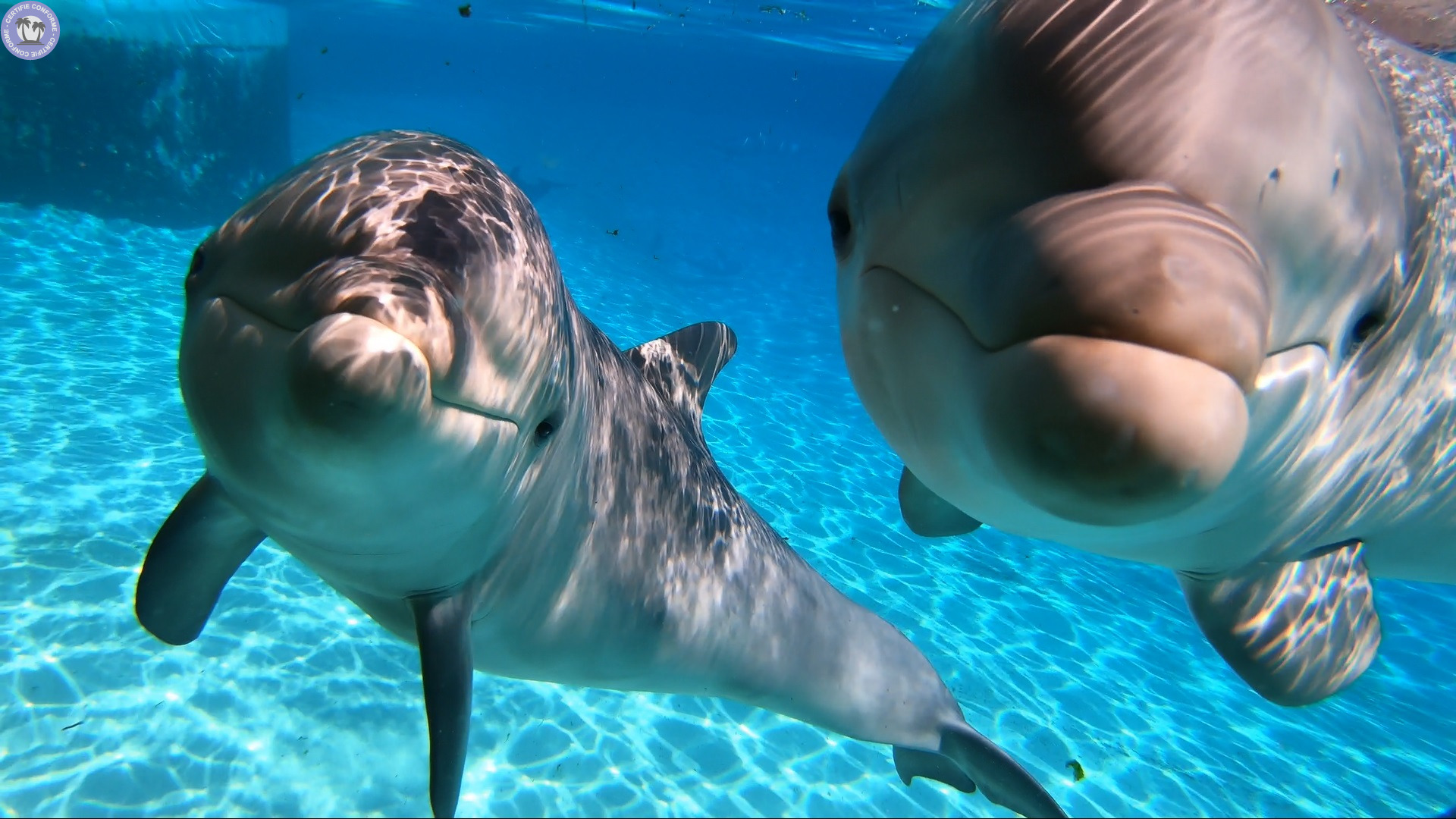 Sejour-amp-Voyages-Neuchatel-Code-promo-Entree-Marineland-Marineland13531363755646576.jpg