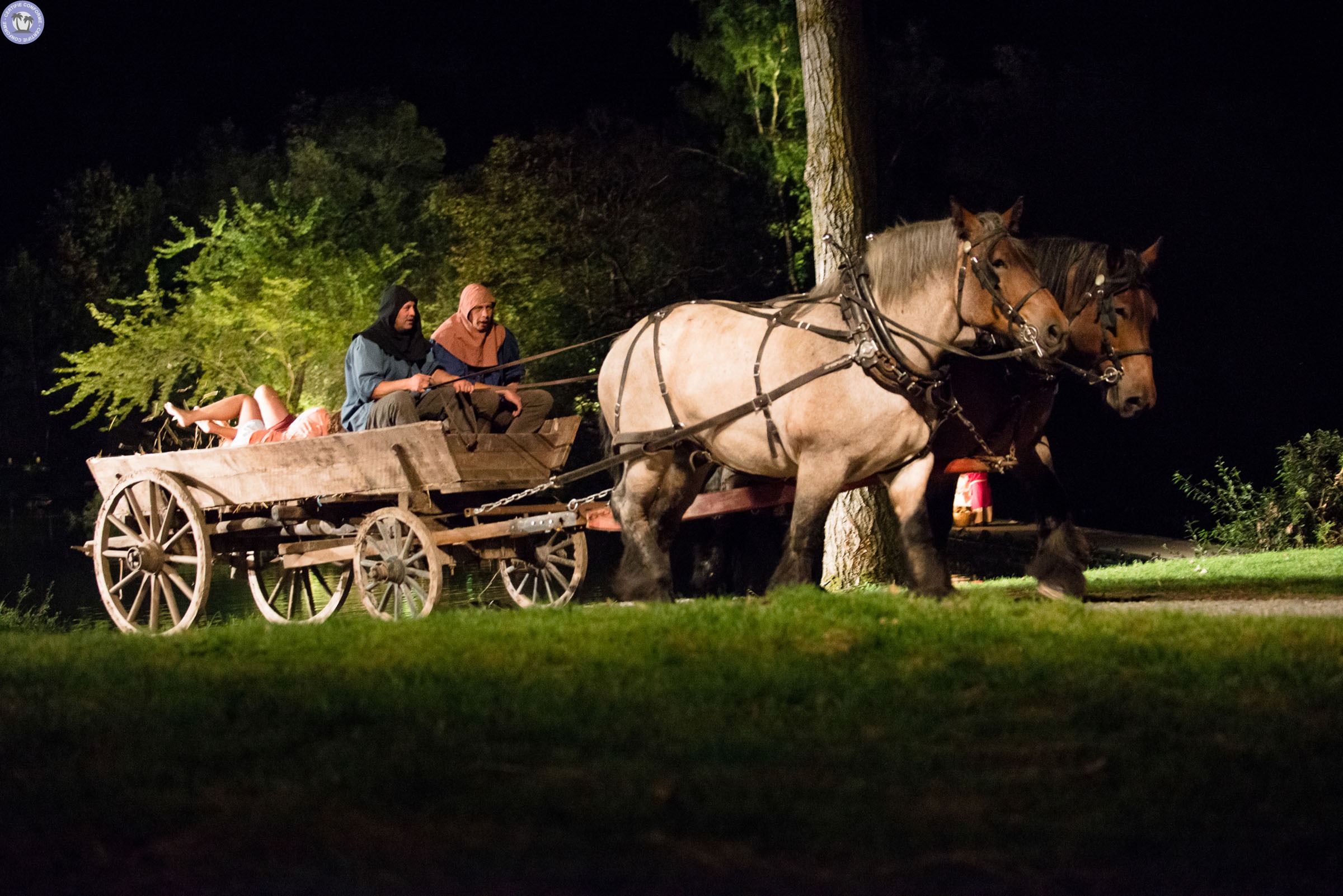 evenement-sortie-hauts-de-france-somme-le-plus-grand-son-et-lumiere-des-h-d-f-f5262744475253677379.jpg