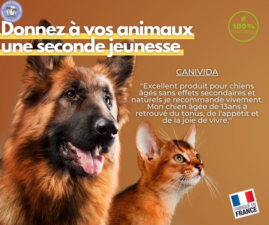 soins-naturels-bio-nouvelle-aquitaine-pyrenees-atlantiques-produits-naturels-pour-animaux7132325344041455657.jpg