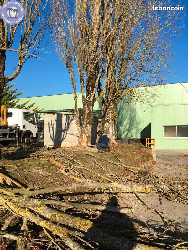 Gardien de propriété, intendant à Les baux de breteuil