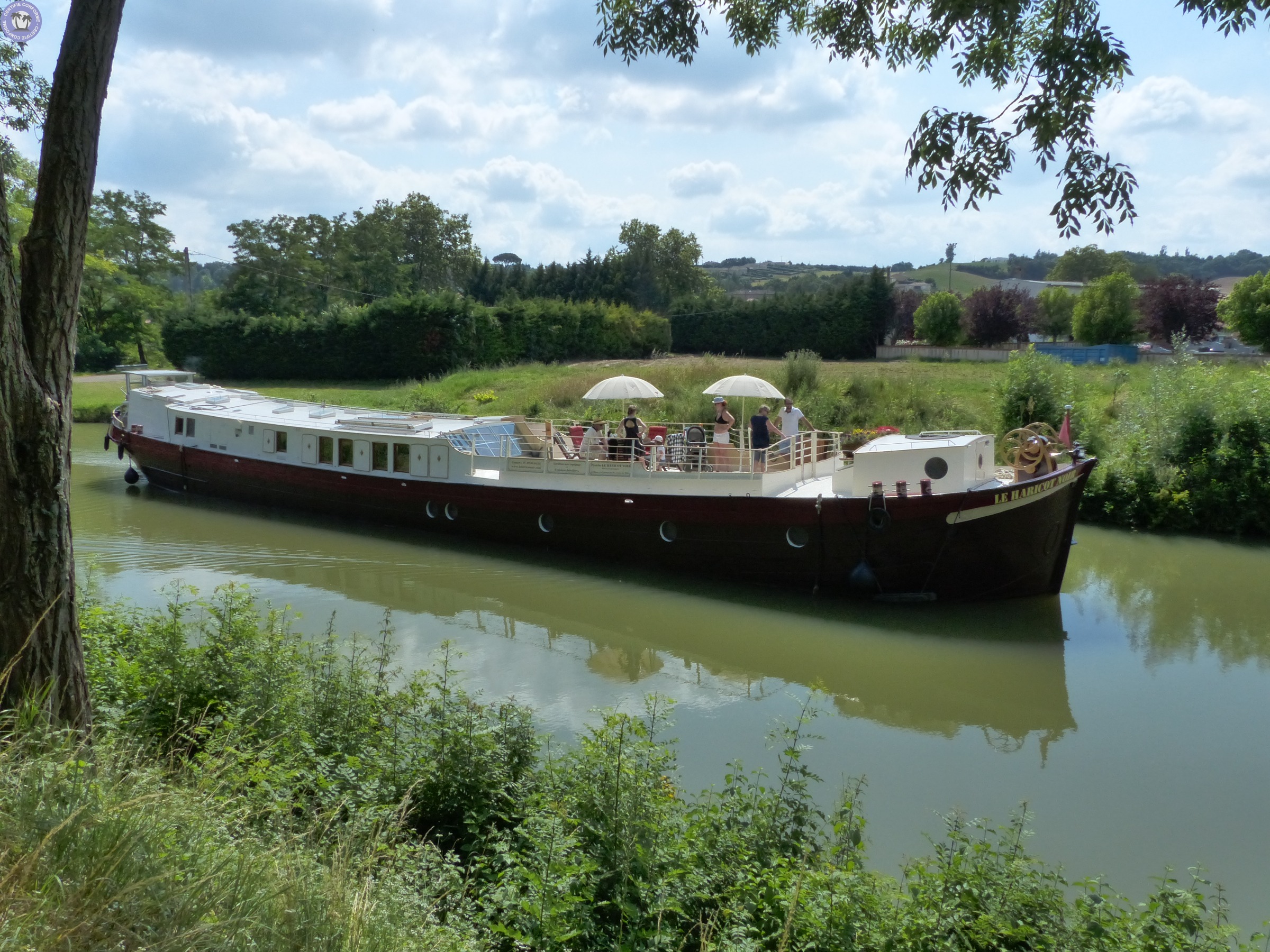 sejour-amp-voyages-occitanie-haute-garonne-croisiere-sur-le-canal-du-midi-midi091213434859697178.jpg