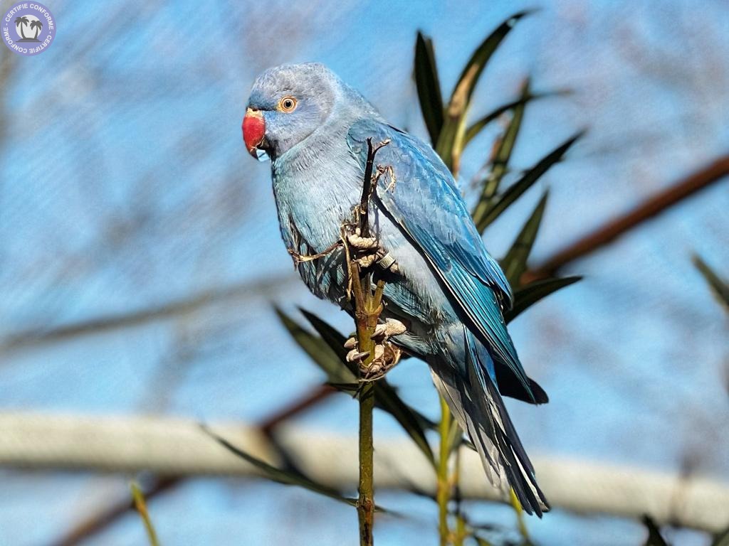 jeux-amp-divertissement-auvergne-rhone-alpes-ardeche-parc-animalier-de-lussas16232431415254607374.jpg