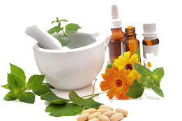 Soins-naturels-Bio-Nouvelle-Aquitaine-Pyrenees-Atlantiques-Consultations-et-cours-en-Naturopathie151821233842677378.png