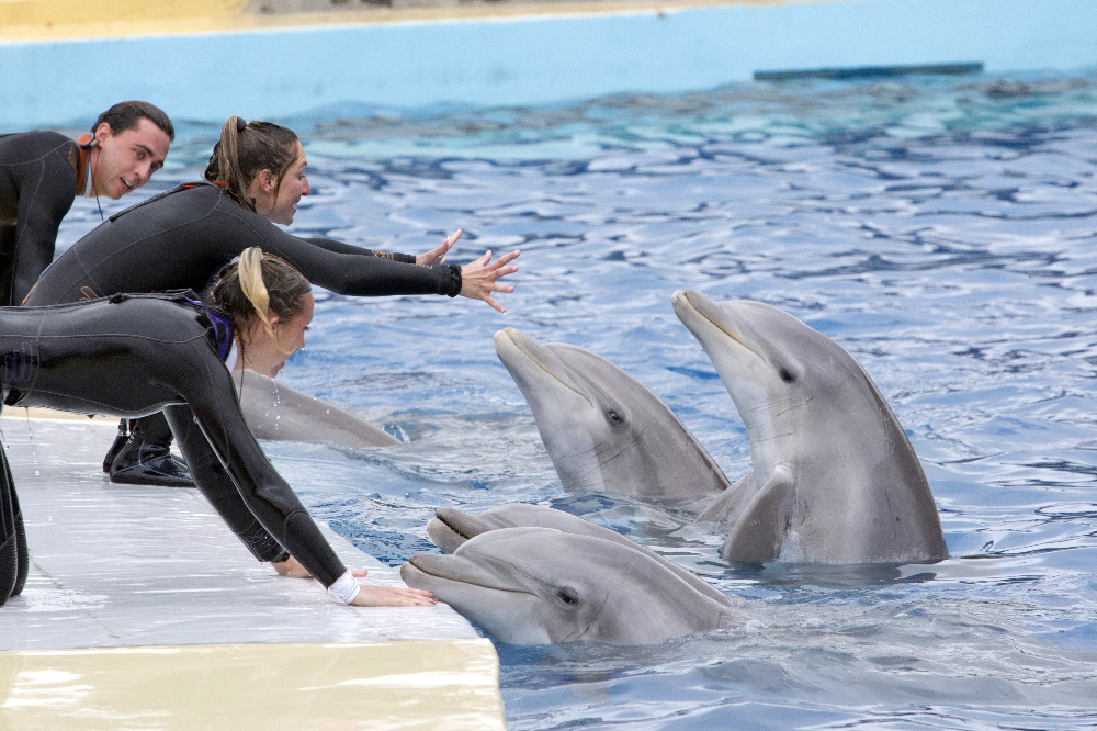 Sejour-amp-Voyages-Neuchatel-Code-promo-Entree-Marineland-Marineland19232531545556717374.jpg