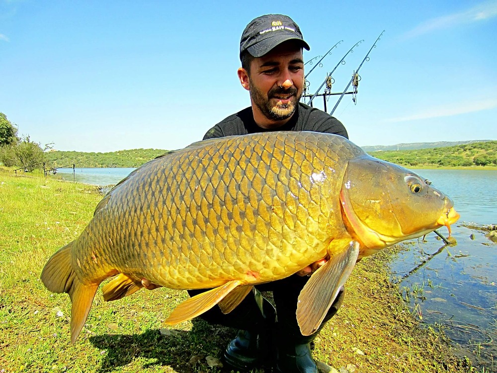 Sejour-amp-Voyages-Centre-Val-de-Loire-Loir-et-Cher-Sejour-de-Chasse-et-Peche-en-Sologne-France-Espagne-Espagne492026505466676874.jpg