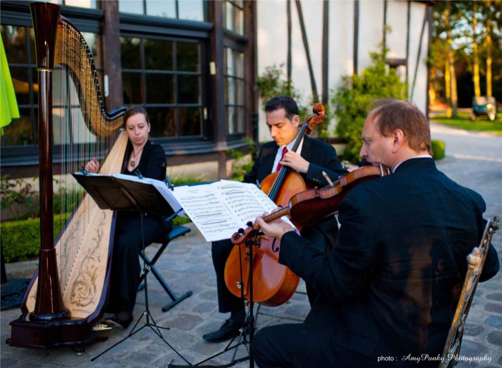 evenement-sortie-ile-de-france-val-d-oise-animations-musicales-harpe-chant-et-instruments-instruments03525395659606972.jpg