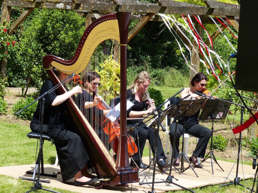 evenement-sortie-ile-de-france-val-d-oise-animations-musicales-harpe-chant-et-instruments-instruments4182932344446527277.jpg