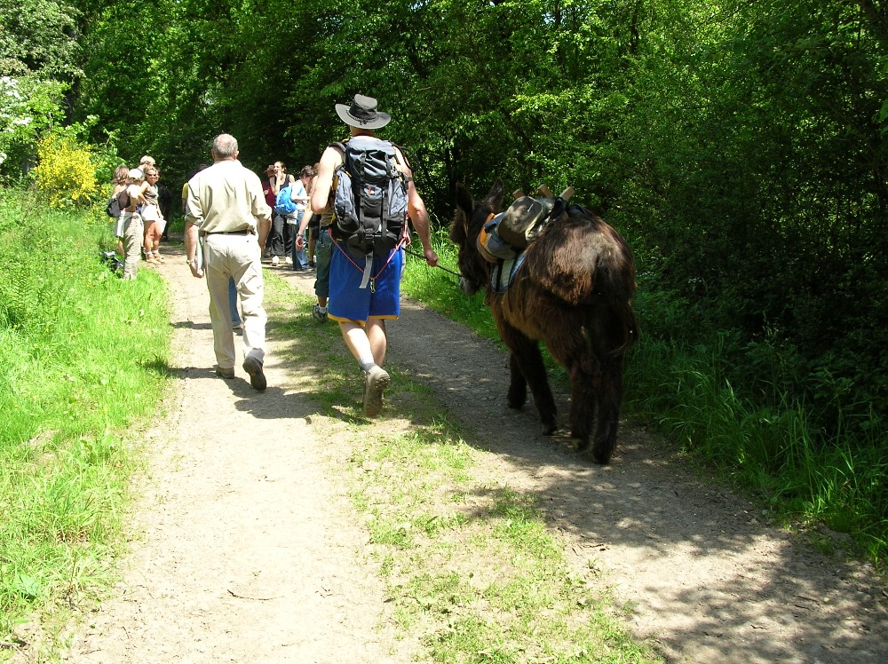 sejour-amp-voyages-grand-est-ardennes-bienvenue-a-habay-habay16243031374567687071.jpg