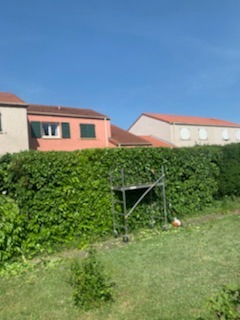 jardinage-grand-est-moselle-travaux-de-jardinage562033415152545770.jpg