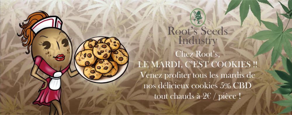 soins-naturels-bio-occitanie-gard-huiles-infusions-cbd-50-pour-le-blackdfriday-cbd20344151525355596770.jpg