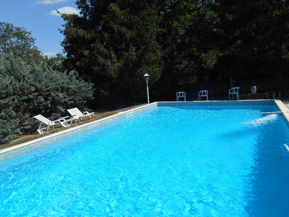 immobilier-auvergne-rhone-alpes-allier-villa-dans-parc-arbore-piscine-vue-panoramique8252747505464656976.jpg