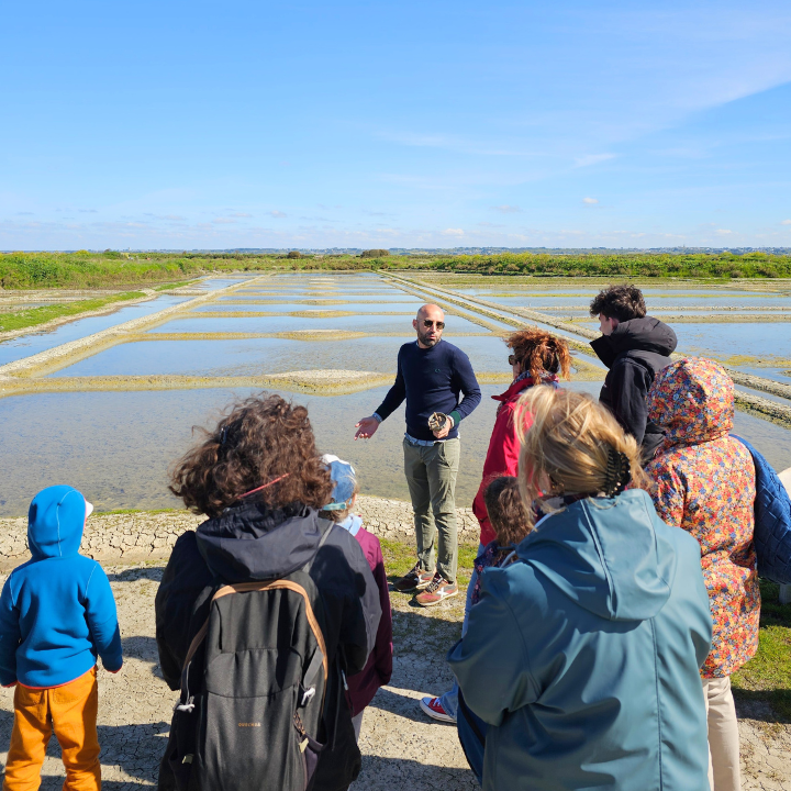 culture-pays-de-la-loire-loire-atlantique-visite-des-marais-salants0236202558596061.png