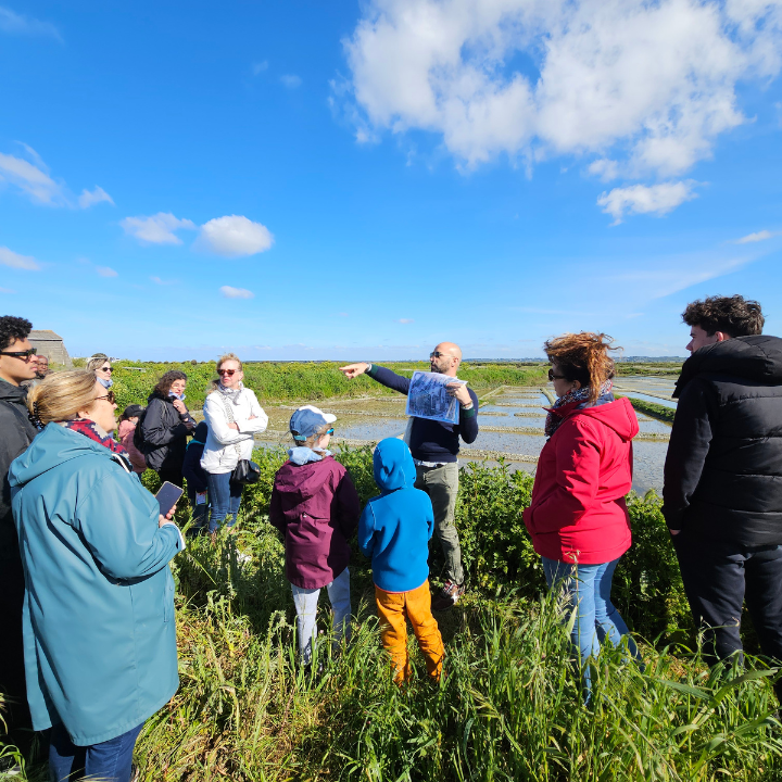 culture-pays-de-la-loire-loire-atlantique-visite-des-marais-salants463850575859627071.png